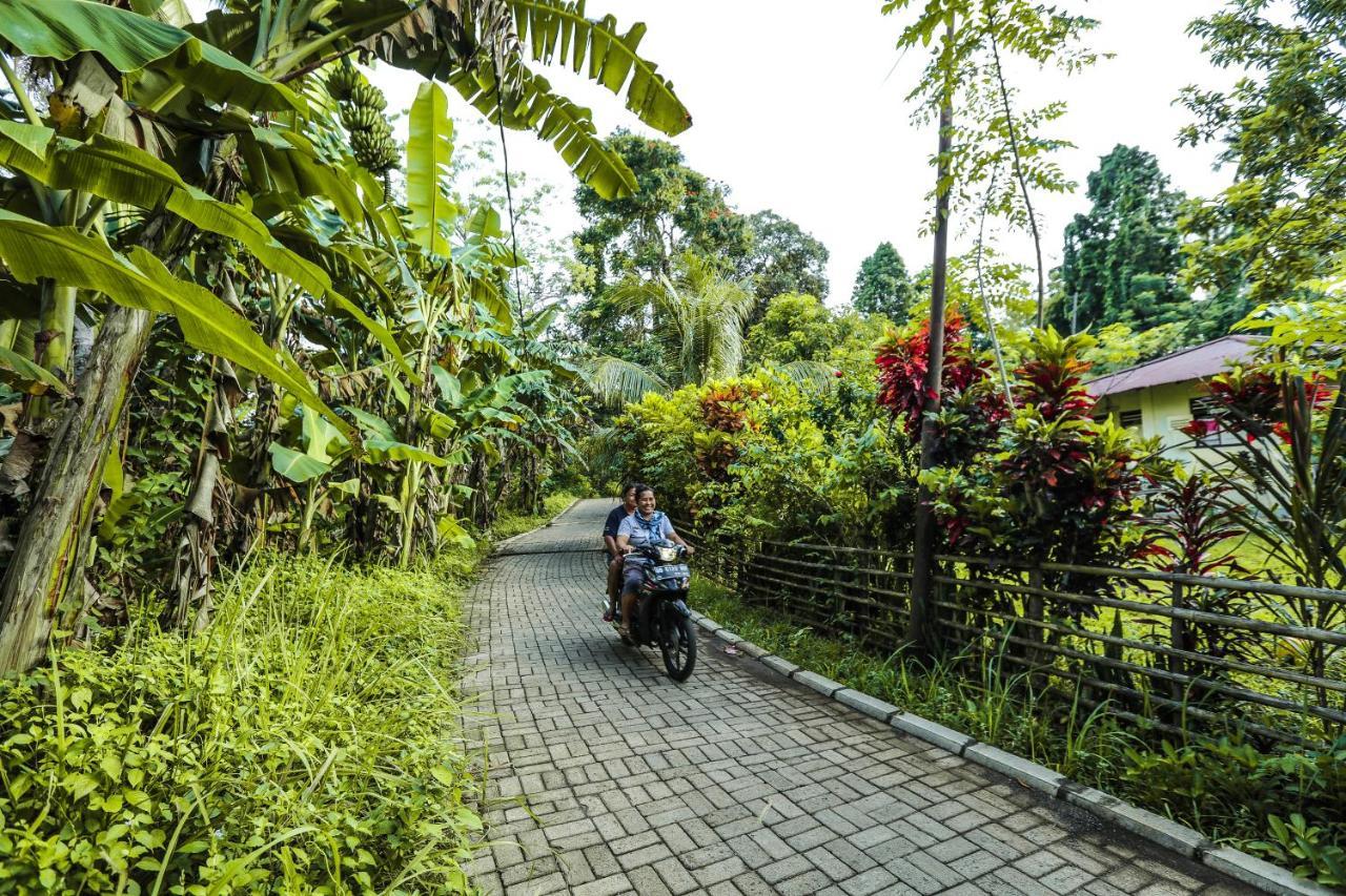 The Village Bunaken Exteriör bild